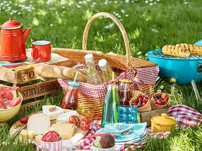 hf_header_picknicken_1280x640px